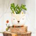 Sass & Belle Mini Woodland Fox Planter